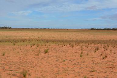 Farm Sold - VIC - Koorlong - 3501 - LARGE SCALE CROPPING AND GRAZING  (Image 2)