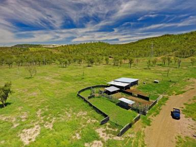 Farm Sold - QLD - Dumgree - 4715 - Private Lifestyle, Views and Callide Creek Frontage  (Image 2)