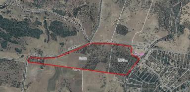 Farm Sold - QLD - Maidenwell - 4615 - 69 ACRES - PRICED TO SELL  (Image 2)