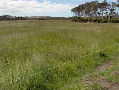 Farm Sold - TAS - Flinders Island - 7255 - High Performance Grazing  (Image 2)