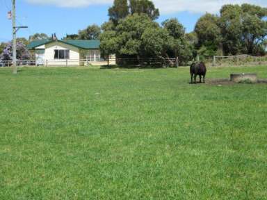 Farm Sold - TAS - Flinders Island - 7255 - Mowanjum -  Heavily reduced to $1000 per acre  (Image 2)