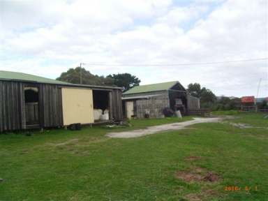 Farm Sold - TAS - Flinders Island - 7255 - Mowanjum -  Heavily reduced to $1000 per acre  (Image 2)