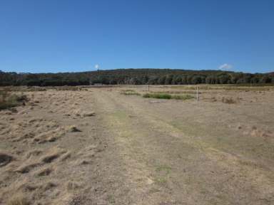 Farm Sold - TAS - Lughrata - 7255 - Grazing Land  (Image 2)