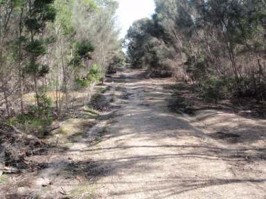 Farm Sold - TAS - Flinders Island - 7255 - Reap the Rewards  (Image 2)