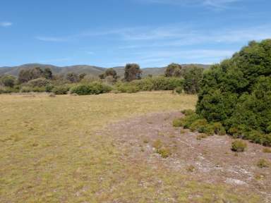 Farm Sold - TAS - Flinders Island - 7255 - Reap the Rewards  (Image 2)