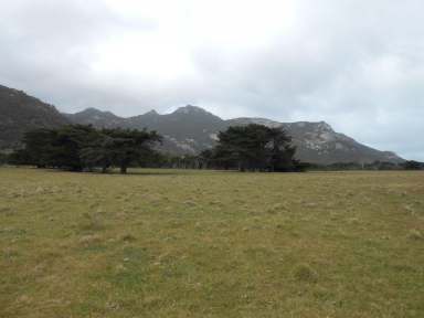 Farm Sold - TAS - Flinders Island - 7255 - Fotheringate Bay Farm  (Image 2)