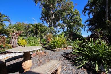 Farm Sold - QLD - Valentine Plains - 4715 - Renovated Home, Beautiful Gardens and 10 Productive Acres  (Image 2)