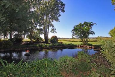 Farm Sold - QLD - Valentine Plains - 4715 - Renovated Home, Beautiful Gardens and 10 Productive Acres  (Image 2)