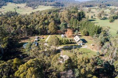 Farm Sold - TAS - Golden Valley - 7304 - LARGE FAMILY HOME - WITH AMAZING VIEWS OF QUAMBY BLUFF.  (Image 2)