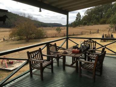 Farm Sold - NSW - Putty - 2330 - 357 ACRES OF PRIVATE LIFESTYLE LIVING  (Image 2)
