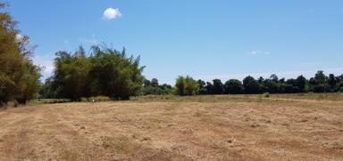 Farm Sold - QLD - Carruchan - 4816 - Vacant rural block with creek frontage -...  (Image 2)