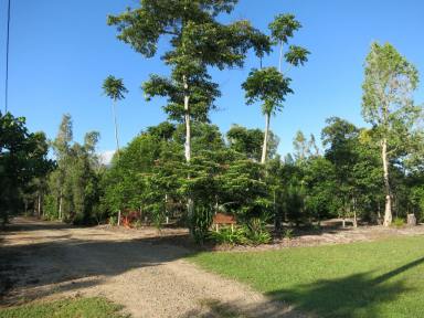 Farm Sold - QLD - Carruchan - 4816 - Sea Change Sanctuary in Tropical Paradise  (Image 2)