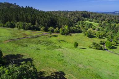 Farm Sold - QLD - Palmwoods - 4555 - EASY CARE  ACREAGE WITH VIEWS  (Image 2)