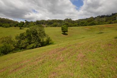 Farm Sold - QLD - Palmwoods - 4555 - EASY CARE  ACREAGE WITH VIEWS  (Image 2)