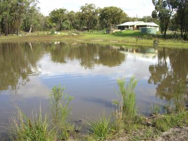 Farm Sold - QLD - Greenlands - 4380 - One of a kind Rural Retreat  (Image 2)