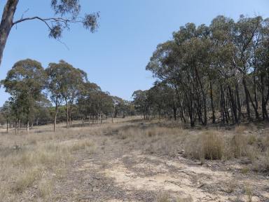 Farm Sold - QLD - Ballandean - 4382 - Ever feel like just getting away to your own retreat  (Image 2)