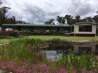 Farm Sold - QLD - Stanthorpe - 4380 - "Tullamore" a beautiful lifestyle property  (Image 2)