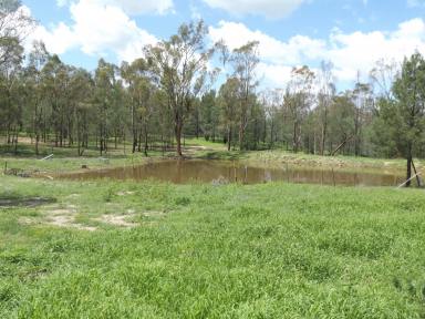 Farm Sold - QLD - Thanes Creek - 4370 - Creek-front Escape  (Image 2)