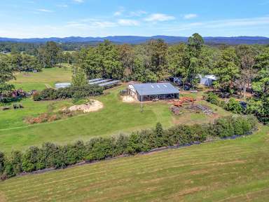 Farm Sold - NSW - Glenreagh - 2450 - River Frontage - Large 36.25 ha with massive potential !  (Image 2)