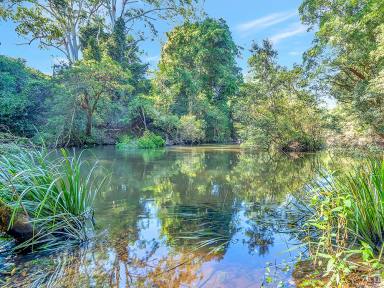 Farm Sold - NSW - Glenreagh - 2450 - River Frontage - Large 36.25 ha with massive potential !  (Image 2)