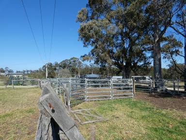 Farm Sold - VIC - Newmerella - 3886 - 39 ACRES OVERLOOKING ORBOST AND THE SNOWY RIVER FLATS  (Image 2)