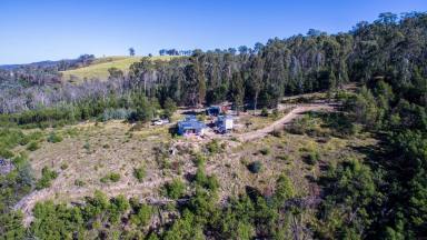 Farm Sold - VIC - Buchan - 3885 - 250 ACRES, SNOWY RIVER FRONTAGE  (Image 2)