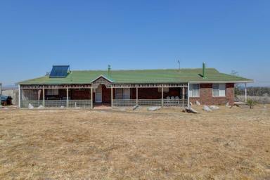 Farm Sold - NSW - Piallamore - 2340 - Position & Lifestyle  (Image 2)
