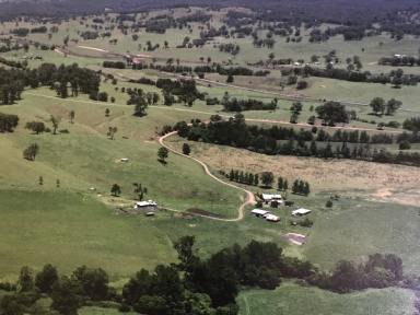 Farm Sold - NSW - Wards River - 2422 - 'Eastlyn' - Once in a Lifetime Chance  (Image 2)