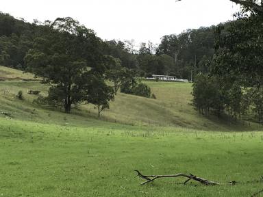 Farm Sold - NSW - Bowman - 2422 - LIFESTYLE - OUTLOOK - INCOME  (Image 2)