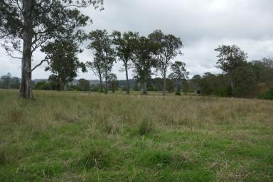 Farm Sold - NSW - Kyogle - 2474 - 106 ACRES WITH VIEWS  (Image 2)