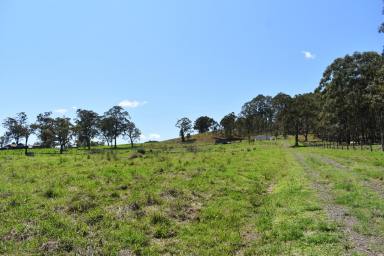 Farm Sold - NSW - Woodenbong - 2476 - READY FOR YOU TO BUILD YOUR DREAM HOME  (Image 2)