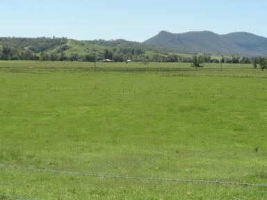 Farm Sold - NSW - Kyogle - 2474 - PRIME GRAZING COUNTRY  (Image 2)