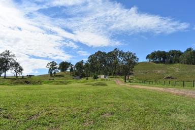 Farm Sold - NSW - Woodenbong - 2476 - 9 ACRES, WATER & GREAT VIEWS  (Image 2)