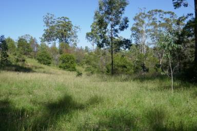 Farm Sold - NSW - Upper Tooloom - 2475 - UNDER CONTRACT  (Image 2)