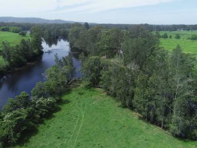 Farm Sold - NSW - Nabiac - 2312 - Lush 40 acres with River frontage  (Image 2)