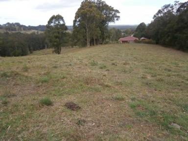 Farm Sold - NSW - Nabiac - 2312 - Vacant 7 ACRE BLOCK - READY TO BUILD ON  (Image 2)