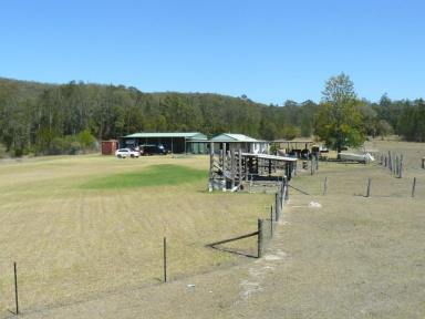 Farm Sold - NSW - Coolongolook - 2423 - Truck and Caravan Parking on 38 Acres  (Image 2)