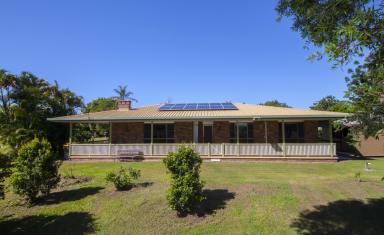 Farm Sold - QLD - Bidwill - 4650 - Acreage Property Done Well  (Image 2)