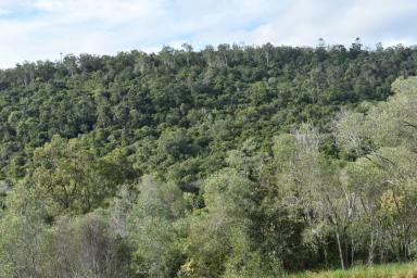 Farm Sold - QLD - Bauple - 4650 - Forest Escape  (Image 2)