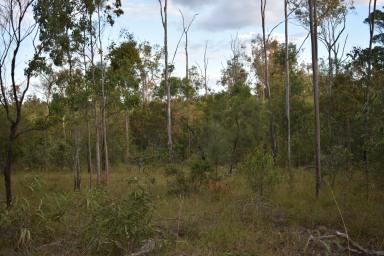 Farm Sold - QLD - Gundiah - 4650 - 300 Acres of Timbered Grazing  (Image 2)