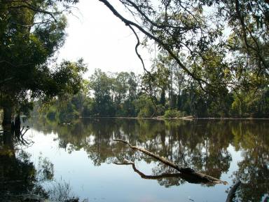 Farm Sold - QLD - Tinana South - 4650 - River Frontage with 48 Acres  (Image 2)