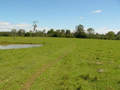 Farm Sold - QLD - St Mary - 4650 - Mary River Frontage  (Image 2)