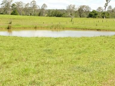 Farm Sold - QLD - St Mary - 4650 - Mary River Frontage  (Image 2)