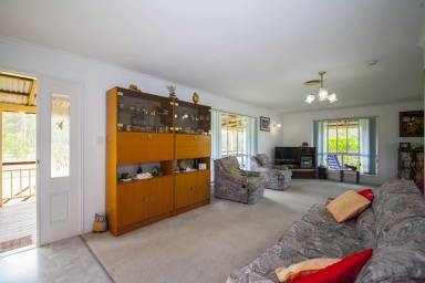 Farm Sold - QLD - Tinana South - 4650 - Acreage Living At Its Best  (Image 2)