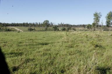 Farm Sold - QLD - Tiaro - 4650 - Country Lifestyle on the River  (Image 2)