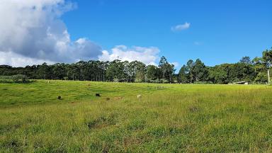 Farm Sold - QLD - Ravenshoe - 4888 - You can have it both Ways  (Image 2)