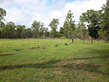 Farm Sold - QLD - Millstream - 4888 - MOTIVATED SELLER   want the dream, here it is at a bargain price!  (Image 2)