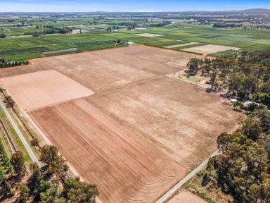 Farm Sold - VIC - Shepparton East - 3631 - Broken River Frontage - 27.65ha (69 Acres) - A Home with Character - Extensive Shedding  (Image 2)