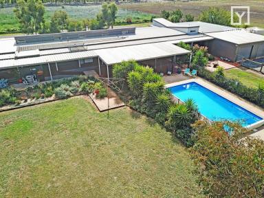 Farm Sold - VIC - Tatura East - 3616 - Enjoy the Relaxed Rural Lifestyle - Expansive 5 Bedroom Home set on approx 40 Acres - Close to Tatura & Mooroopna  (Image 2)