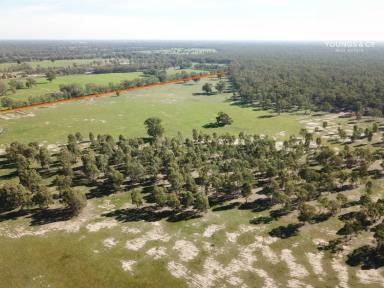 Farm Sold - VIC - Undera - 3629 - 245 Acres Adjoining the State Forrest  (Image 2)
